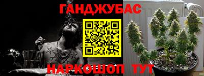 гидра Мариинск