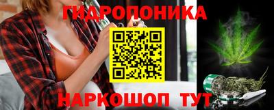 индика Малгобек