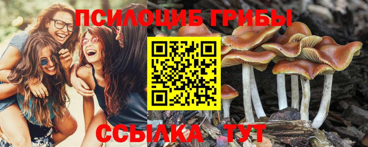 Галлюциногенные грибы прущие грибы  Псилоцибиновые грибы прущие грибы  Вход с VPN  Шатура 